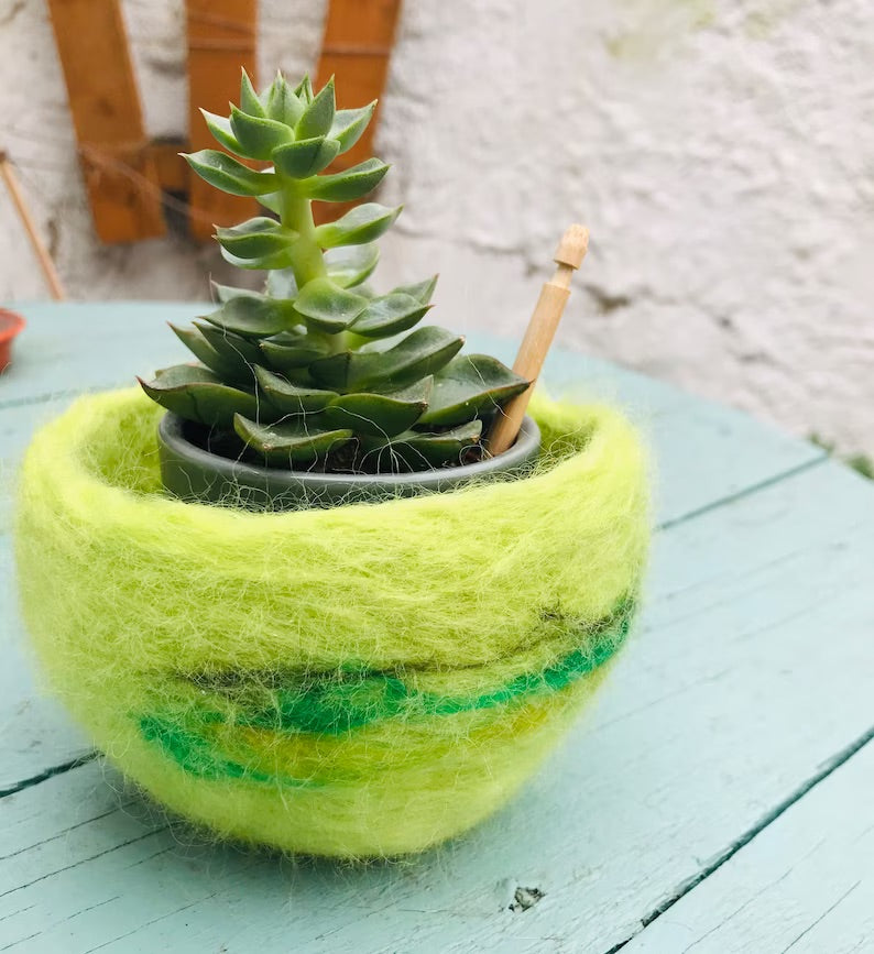 Cactus pod, cactus planter