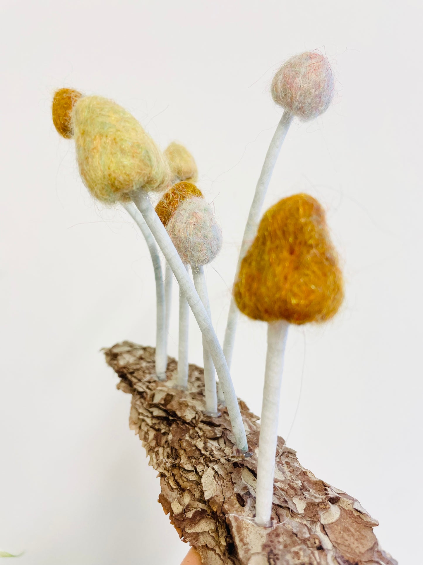 Felted mushrooms