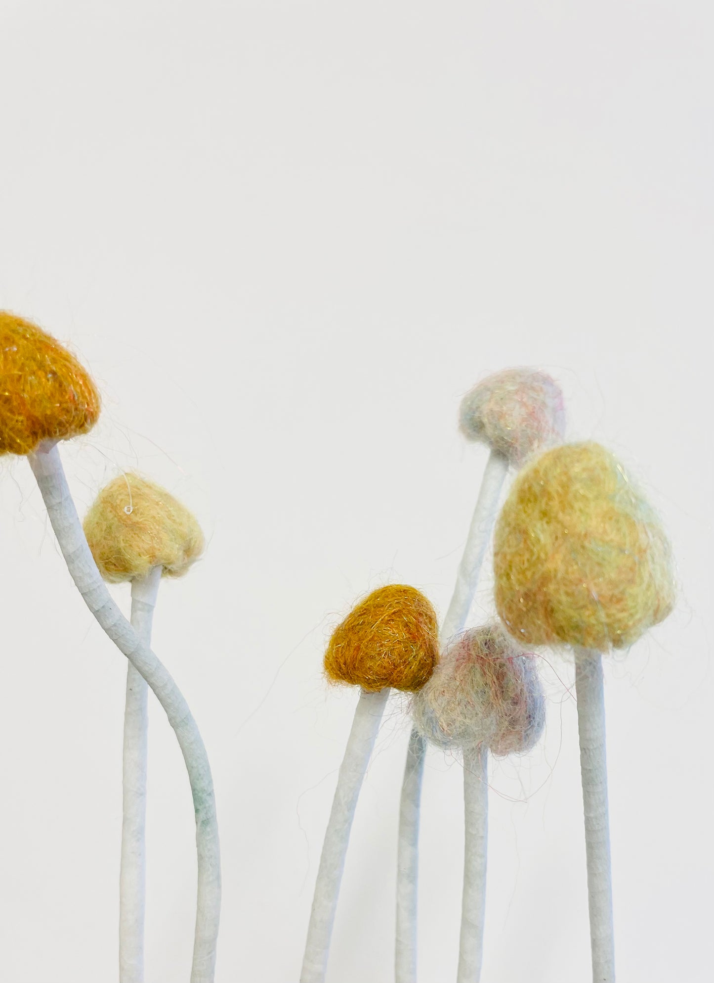 Felted mushrooms