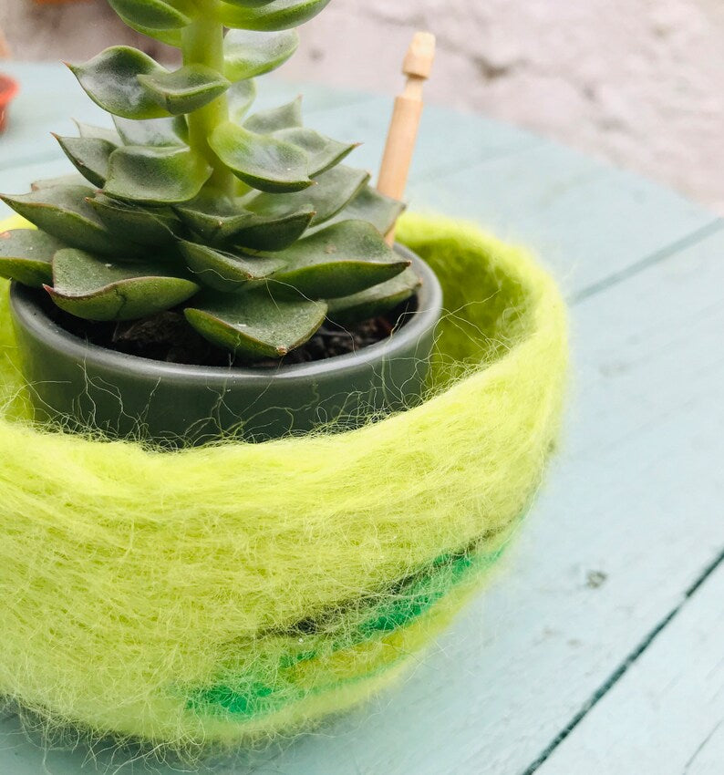 Cactus pod, cactus planter