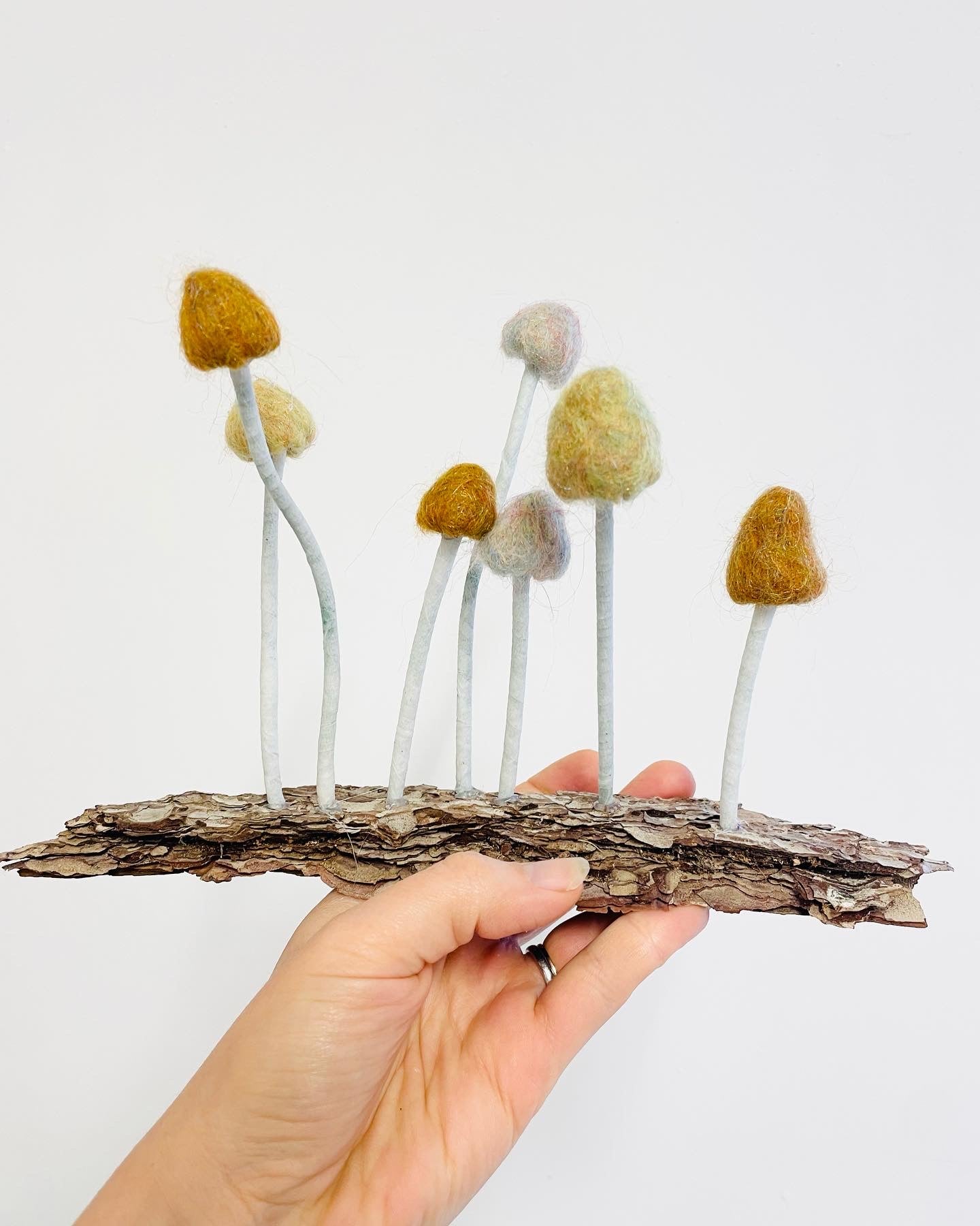 Felted mushrooms