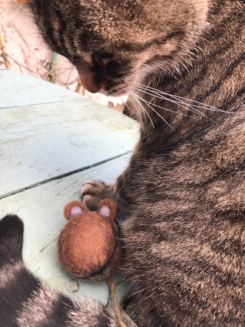 Eco and sustainable felted cat toy