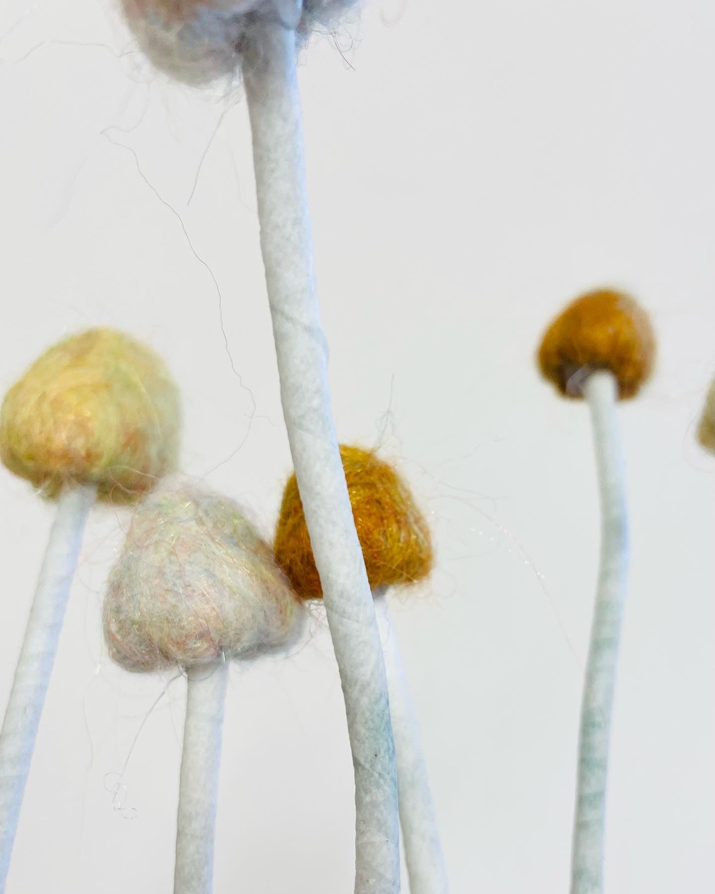 Felted mushrooms