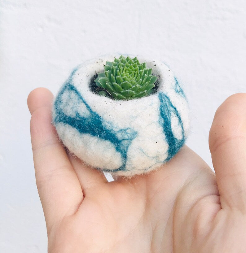 Cactus pod, cactus planter, succulent, succulent pod, cactus planter, cactus plant pot