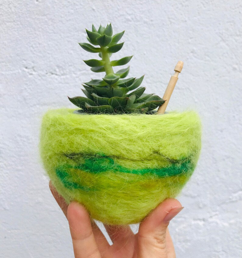 Cactus pod, cactus planter