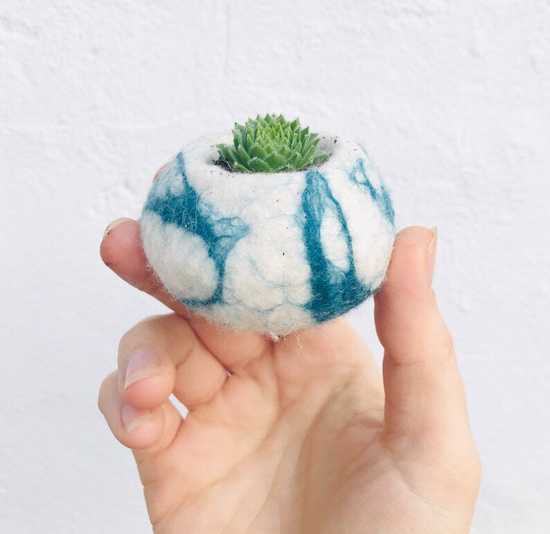 Cactus pod, cactus planter, succulent, succulent pod, cactus planter, cactus plant pot