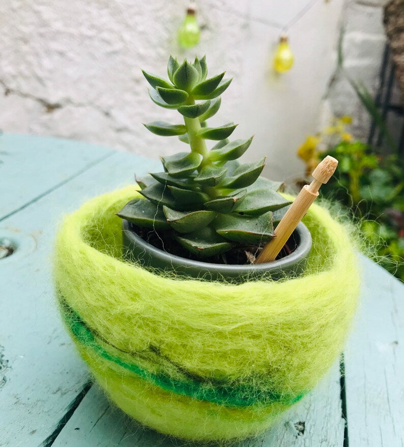 Cactus pod, cactus planter