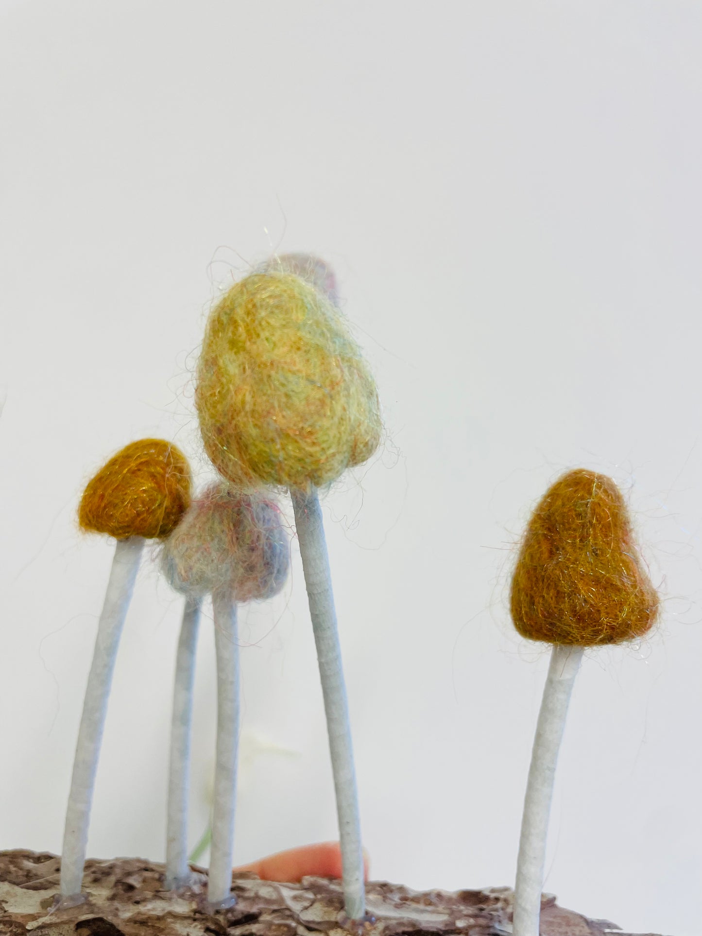 Felted mushrooms
