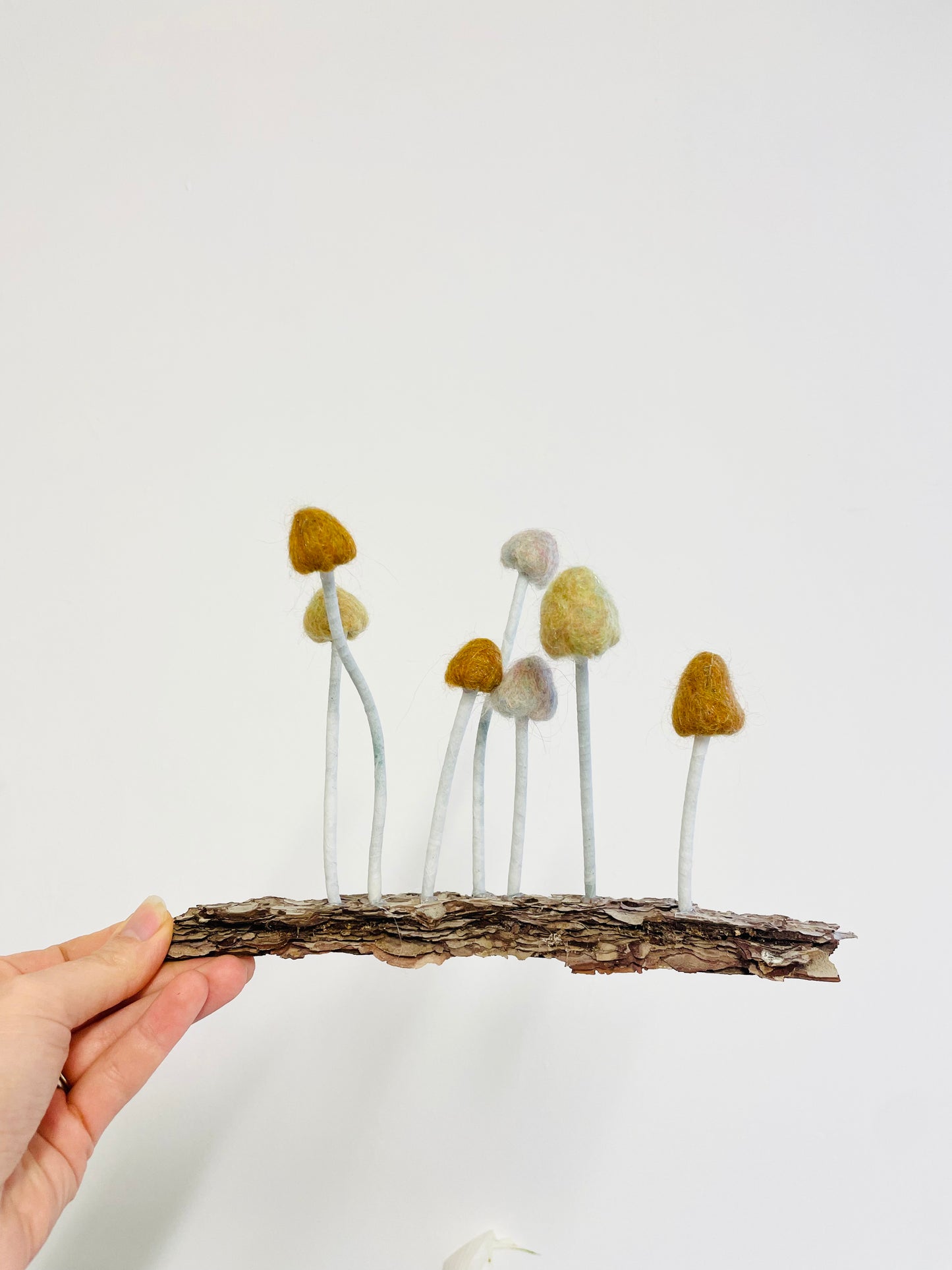 Felted mushrooms