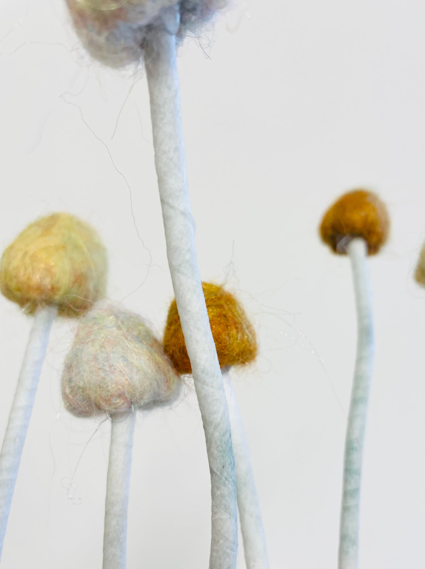 Felted mushrooms